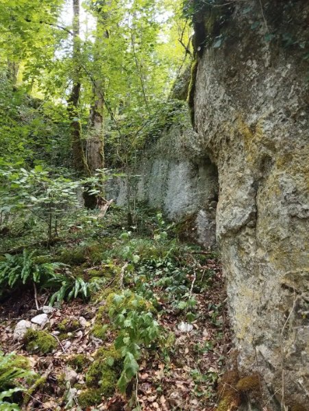 Val Suzon - grottes de Grande Combe - environnement cavités photo, Aurélien Bloch.jpg
Vue générale des 2 cavités.
Fichier manquant